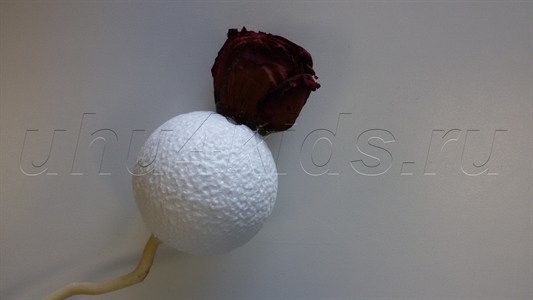 ��������� ��������